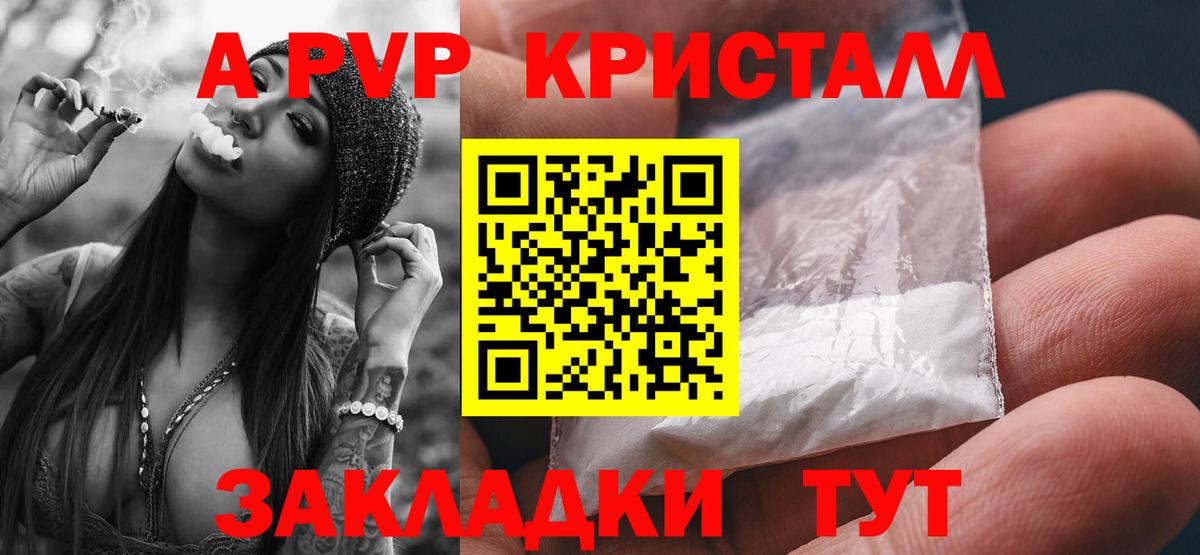 A-PVP СК КРИС  Alfa_PVP СК КРИС  Alfa_PVP  Будённовск  Вход с VPN  A PVP крисы CK 