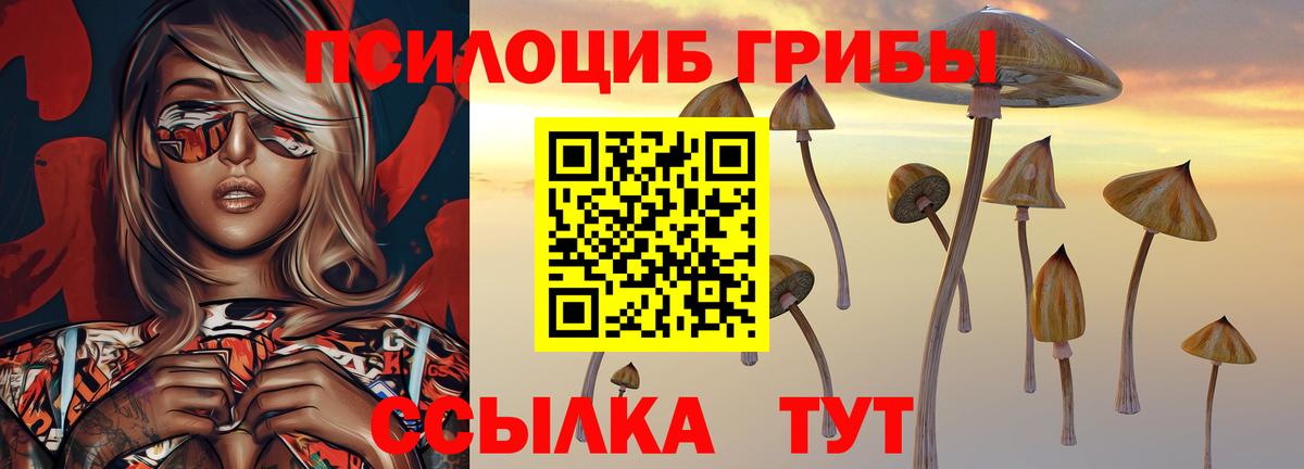 Галлюциногенные грибы Psilocybine cubensis Будённовск