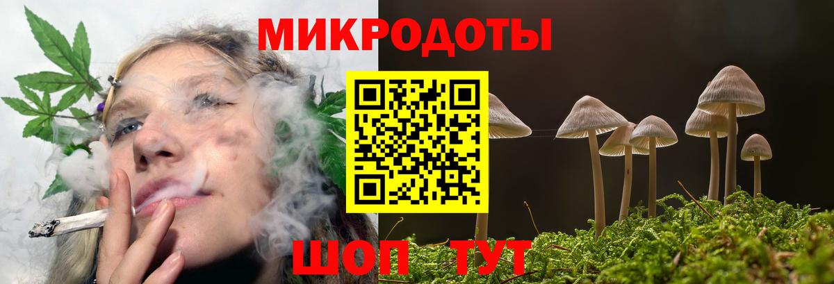 Галлюциногенные грибы Magic Shrooms  Вход с VPN  Будённовск 